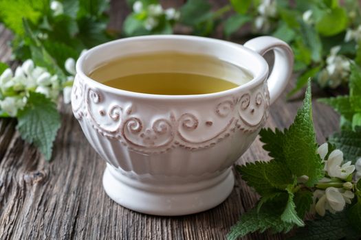 A vintage cup of white dead-nettle tea with fresh blooming Lamium album plant