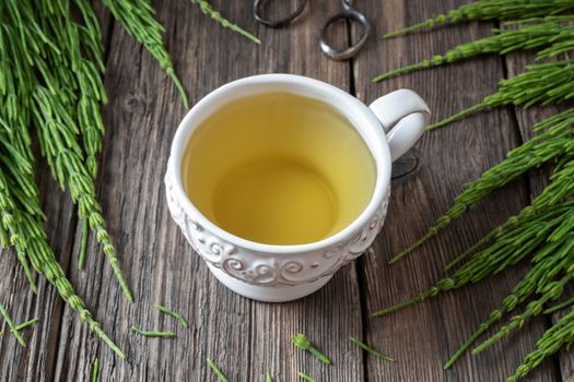 A cup of horsetail tea with fresh Equisetum arvense plant on a rustic background