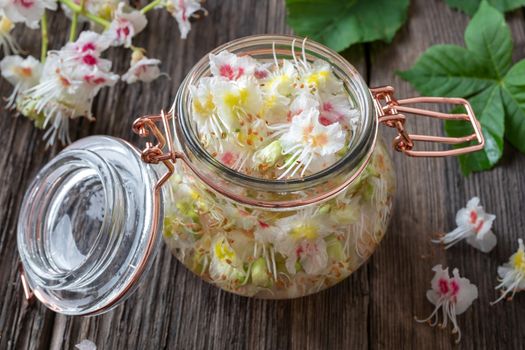 A bottle filled with horse chestnut blossoms and alcohol, to prepare herbal tincture for the veins