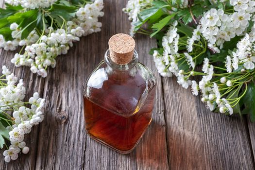 A bottle of herbal tincture with blooming hawthorn branches on a table