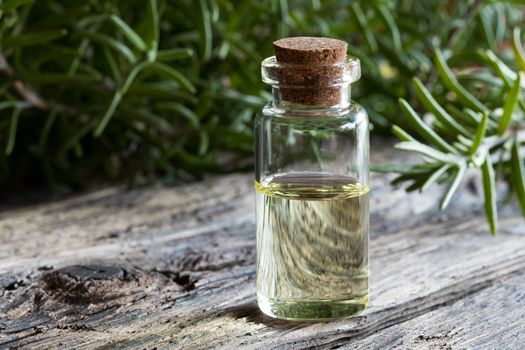 A bottle of rosemary essential oil on old wood, with fresh rosemary twigs in the background
