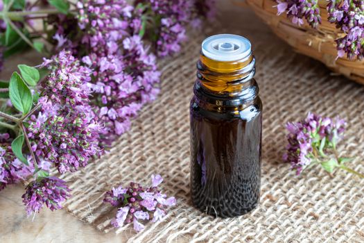 A bottle of essential oil with fresh blooming oregano on a table