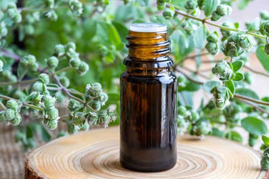 A bottle of essential oil with fresh blooming marjoram twigs