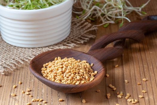 Fenugreek seeds on a spoon and fresh sprouts in the background