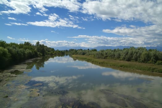 forest water dam forest and cloud sky