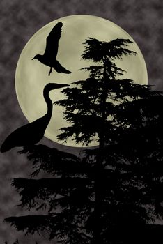 gray heron and dove fly on plant above the clouds looking upwards at full moon, cloudy dark night sky background. Dreamy magic skyline, artistic screen saver.