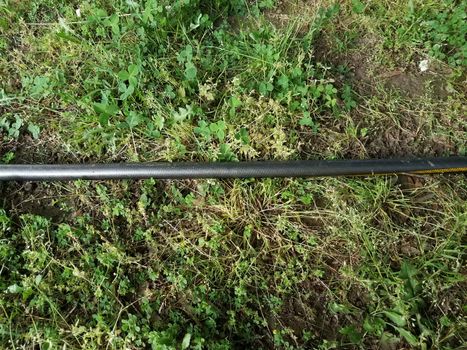 black garden hose on green grass or lawn or yard