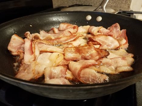 greasy bacon cooking in frying pan or skillet on stove