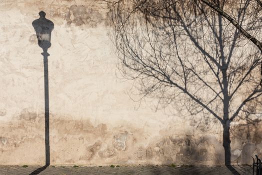 Graphical and textured artisic image of old textured retro wall with vintage street lamp and tree shadow falling on the wall. Urban street background.