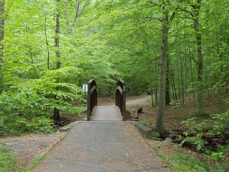 brdige with railing and trees with green leaves and path or trail