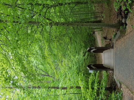 brdige with railing and trees with green leaves and path or trail