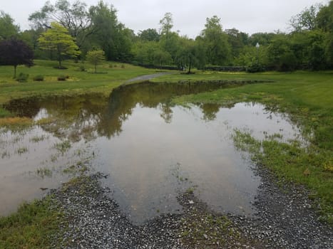 water puddle on flooded gravel path or trail and green grass