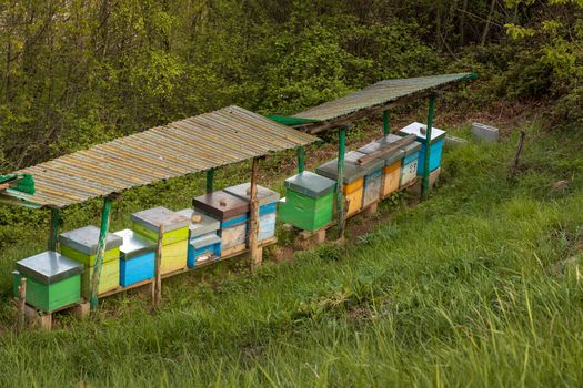 Bee hives on meadow in countryside of Italy,Bergamo(Seriana valley}The houses of the bees are placed on the green grass in the mountains. Private enterprise for beekeeping. Honey healthy food products.