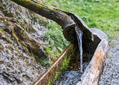 Natural raw unfiltered water flowing from wooden fountain spring at the Val Vertova torrent near Bergamo.Italy