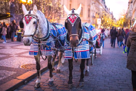 Christmas decor on horse blinders in the center of Prague