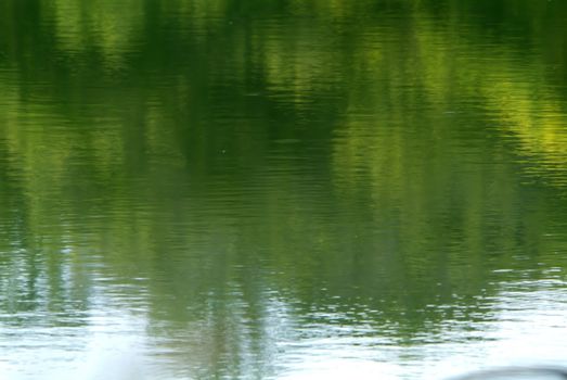 Po river water with slime and plants, in italy