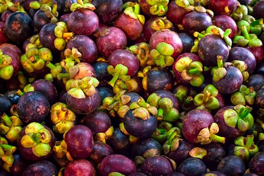 Pile of Fresh Mangosteen in the Local Market