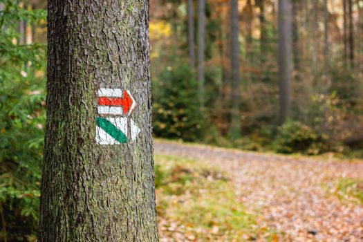 Trail marking on tree in Czech Republic. Painted mark for tourist, hiker and trekker. Method of navigation on touristic routes and paths in nature. Very low depth of field