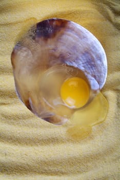 Raw egg isolated on sand background, inside a seashell
