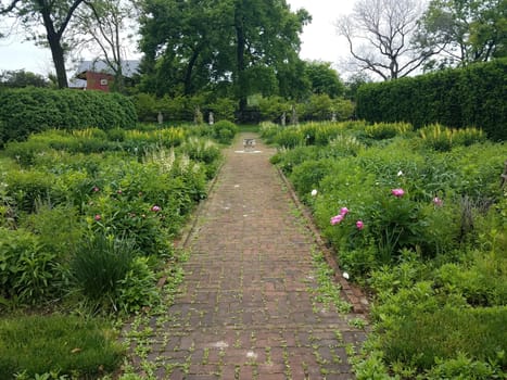 rose and plant garden with red brick path or trail
