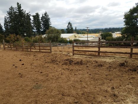 animal enclosure on farm with fence, dirt, and poop