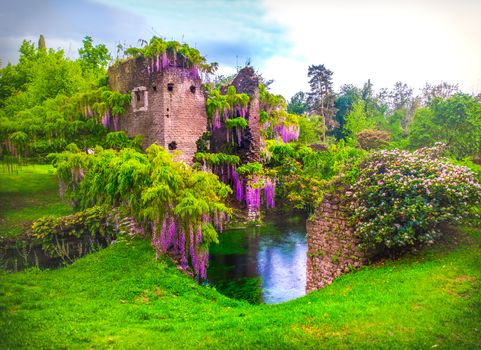 wisteria flowers in fairy garden of ninfa in Italy - medieval tower ruin surrounded by river .