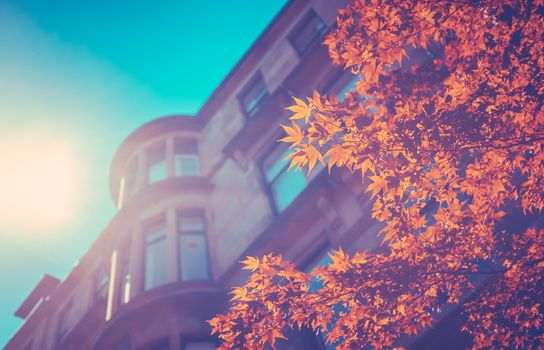 Retro Style Image Of Red Sandstone Tenement Flats In Glasgow's West End With Beautiful Spring Leaves In The Foreground
