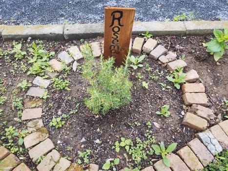 garden with rosemary sign and red bricks and soil