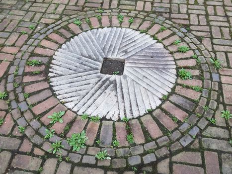 red bricks or masonry and white cement in circle on ground with weeds