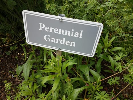 grey perennial garden sign and plants or weeds with green leaves