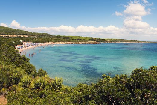 panoramic of Lazzaretto beach in Alghero, Sardinia, Italy. turquoise water bay surrounded by vegetation