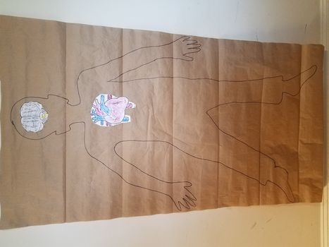 outline of child on paper with brain and heart organs