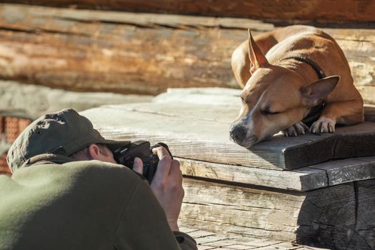 The photographer photographs the sleeping red dog