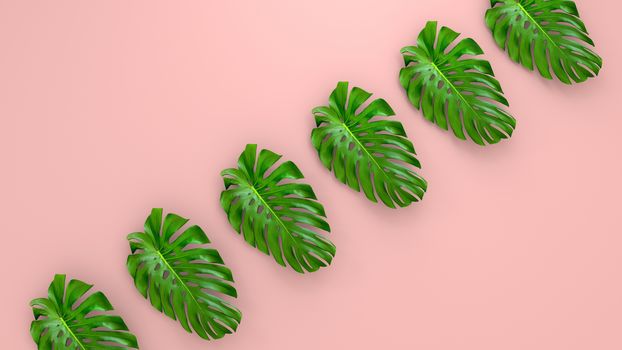 Realistic palm leaves on Coral Living background for cosmetic ad or fashion illustration. Tropical frame exotic banana palm. 3D render