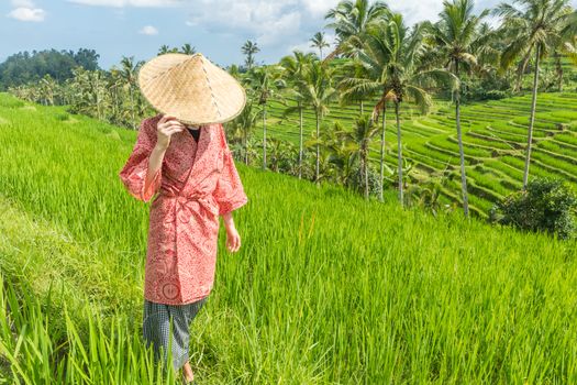 Relaxed fashionable caucasian woman wearing red asian style kimono and traditional asian paddy hat walking amoung beautiful green rice fields and terraces on Bali island.