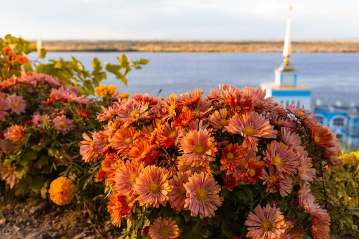 Flowerbed of red and pink flowers in sunset color on the background of the river and the berth building