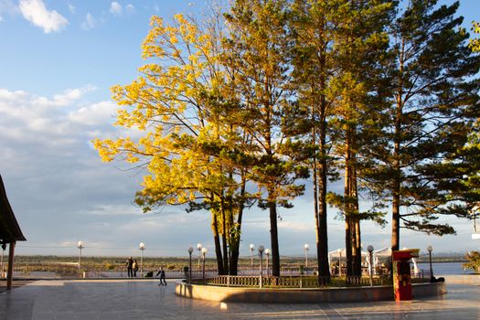 Trees with autumn yellow and orange leaves. Against the blue sky.