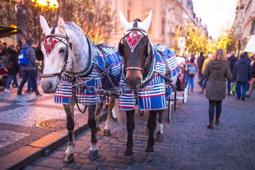 Christmas decor on horse blinders in the center of Prague