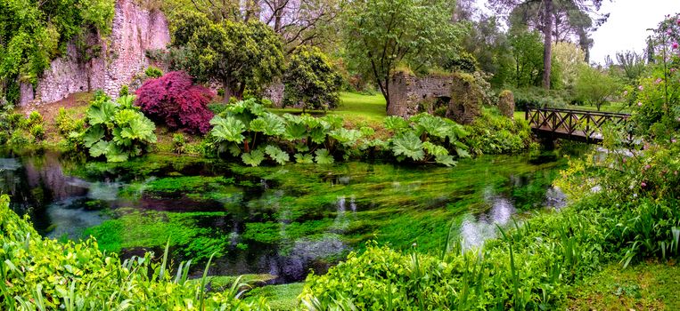 lush vegetetation musk in river water and garden with wooden bridge panoramic