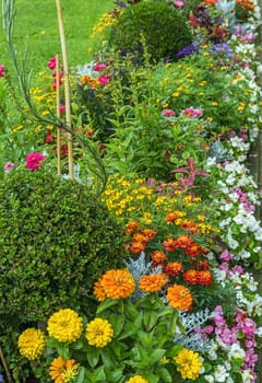 flowerbed with different colorin in Sanssouci park, Germany