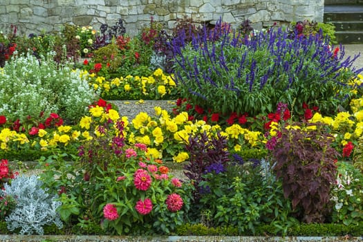 flowerbed with different colorin in Sanssouci park, Germany