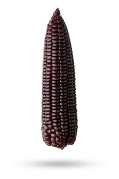 Isolate Purple corn with clipping path on white background. Concepts of healthy food.