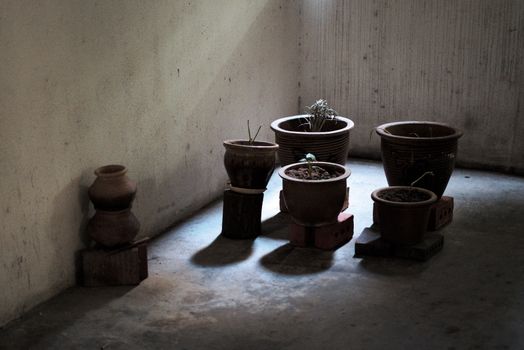 plant pots on bricks in dark shadows in a stained complex hall