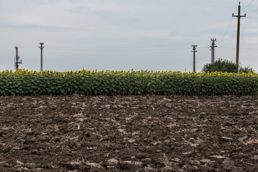 Preparation of soil for cultivation or earth background used for gardening and agriculture.