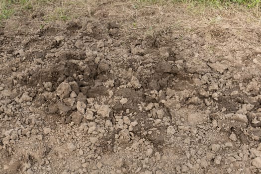 Dirt or soil close-up, environmental texture, pattern.