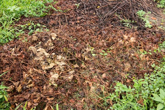 Rotten foliage texture of wet fallen leaves on dirty ground with green grass appearing. Concept of new and fresh replacing old and rotten.