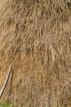 Background of loose stacked dry hay texture with wood pole.