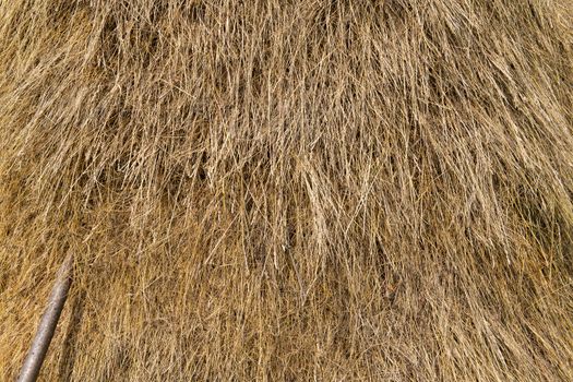 Background of loose stacked dry hay texture with wood pole.