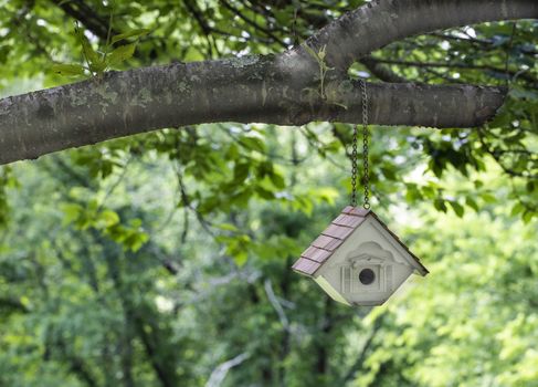 New bird house hangs by a chain from a cherry tree limb.