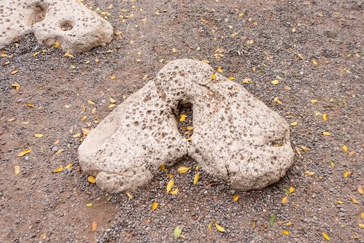 Heart shaped stones built as a tribute in Tabgha on the Sea of Galilee are next to the Church of the Loaves and Fishes are said to be steps where the Lord Jesus stood.